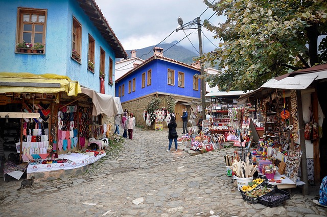 İstanbul Bursa Turu